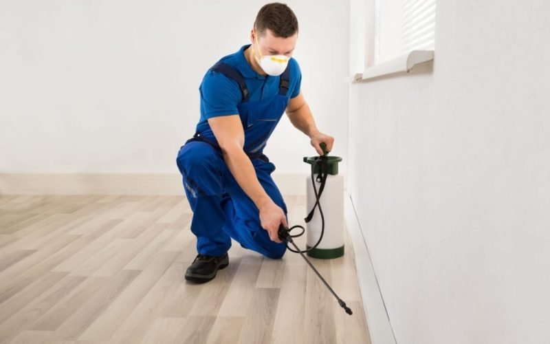 Three Incontestable Benefits of Hiring Pest Control Experts