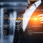 Who Are The Primary Users Of ERP Systems