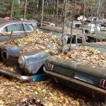 Earn Extra Cash with Our Car Scrap Premium Service!