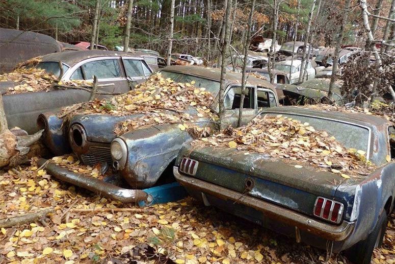 Earn Extra Cash with Our Car Scrap Premium Service!