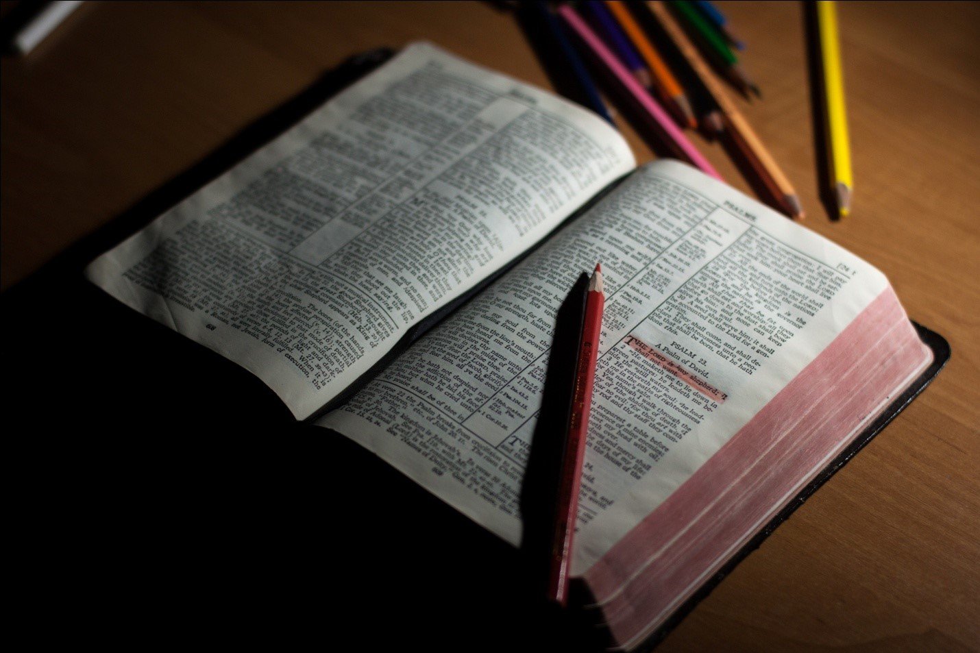 The Holy Books of Popular Religions in the World