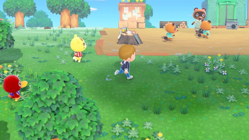 Animal Crossing