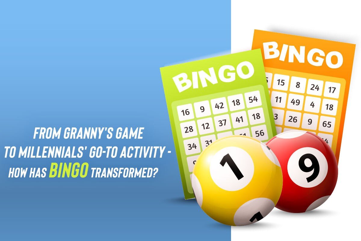 How has Bingo transformed