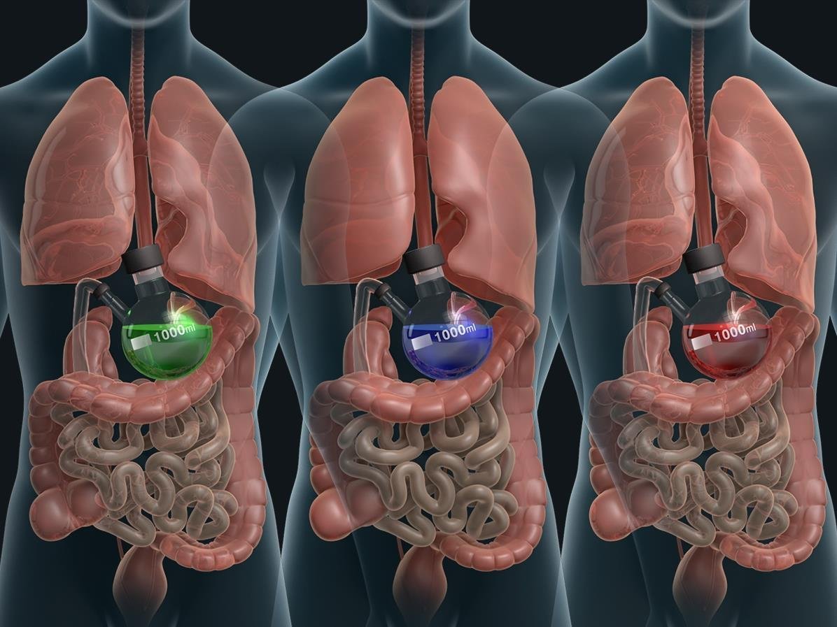 Gastrointestinal Tract