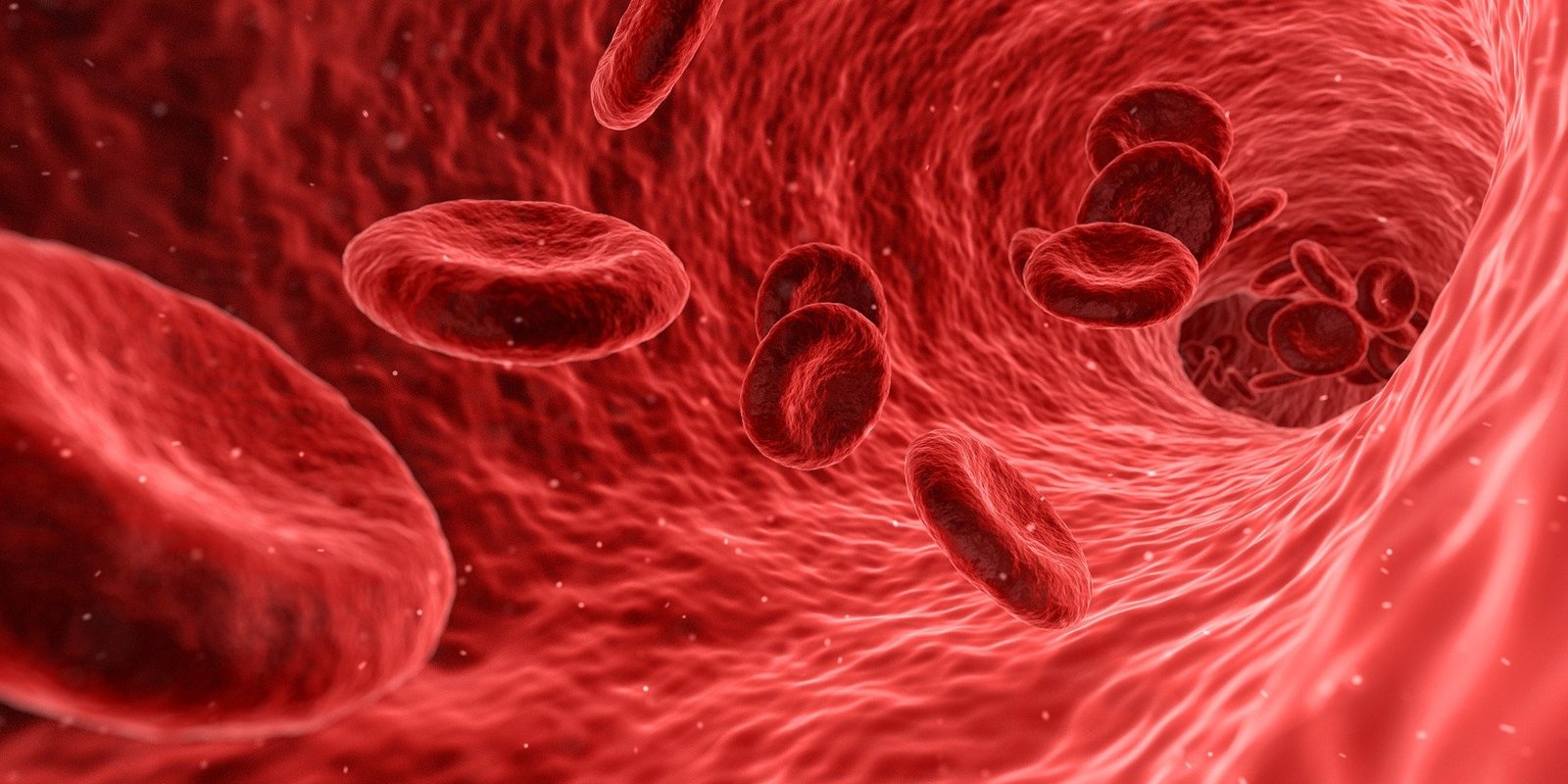 Pathology Medical Billing