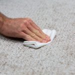 How to Clean Carpet