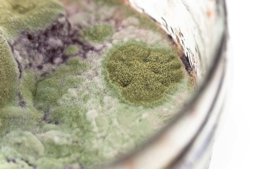 Mold