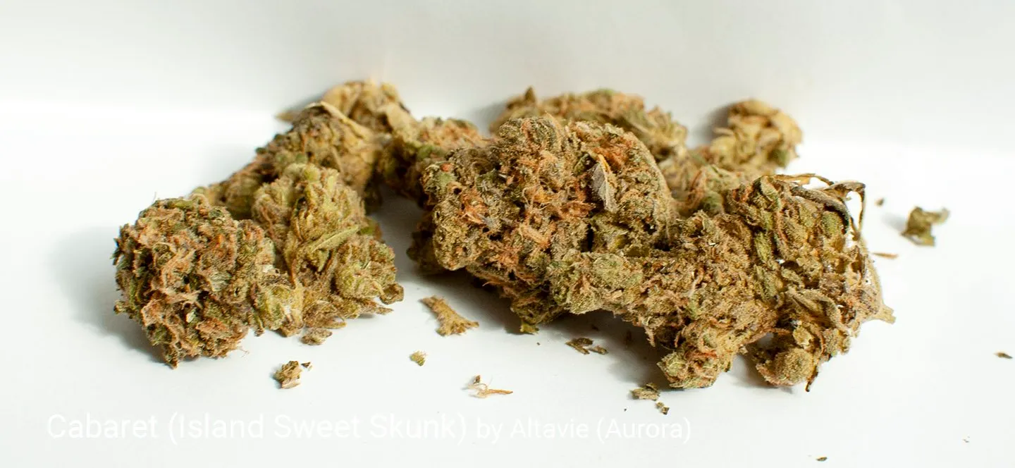 Sweet Skunk