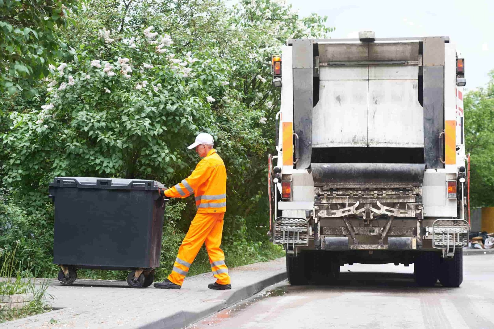 Rubbish Removal Lewisham