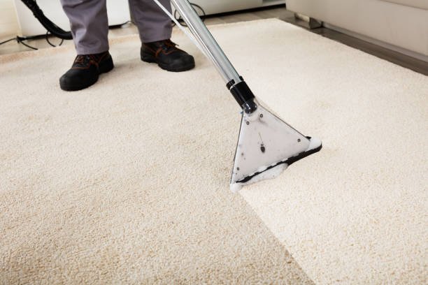 5 Reasons Why You Should Get Your Carpets Professionally Cleaned