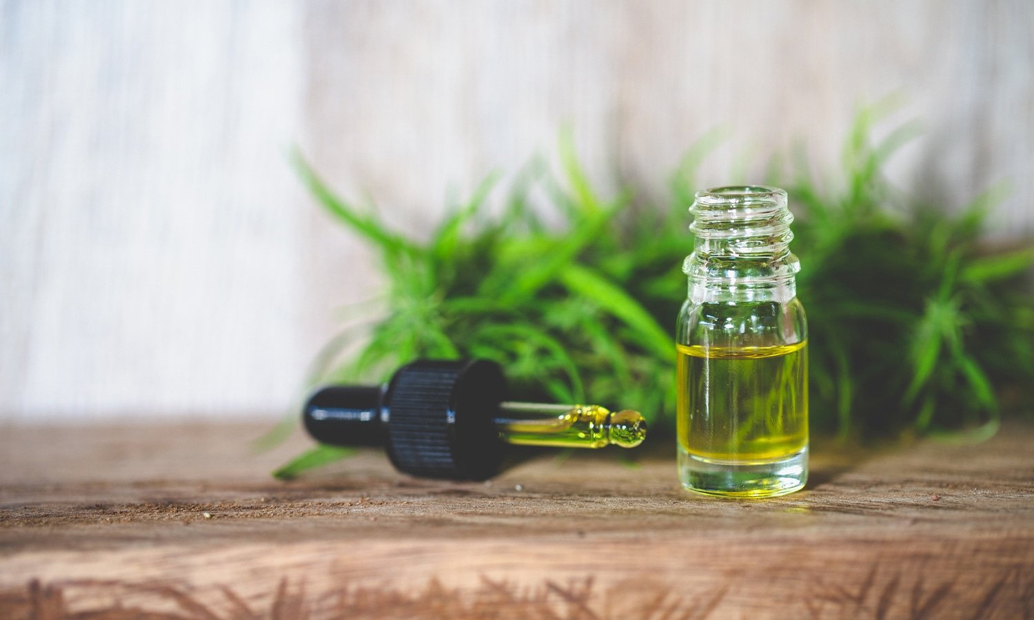 CBD Oil