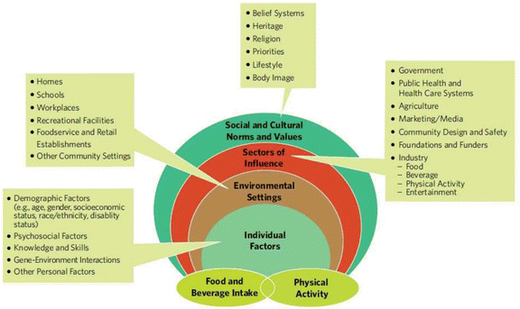 Environmental and Dietary Influences