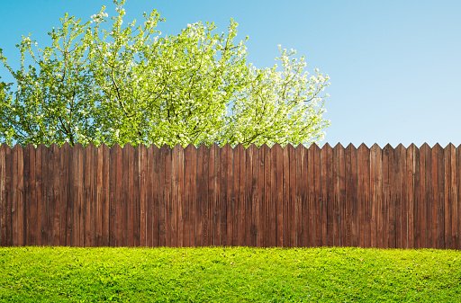 WHY SHOULD I INSTALL FENCING IN MY GARDEN?