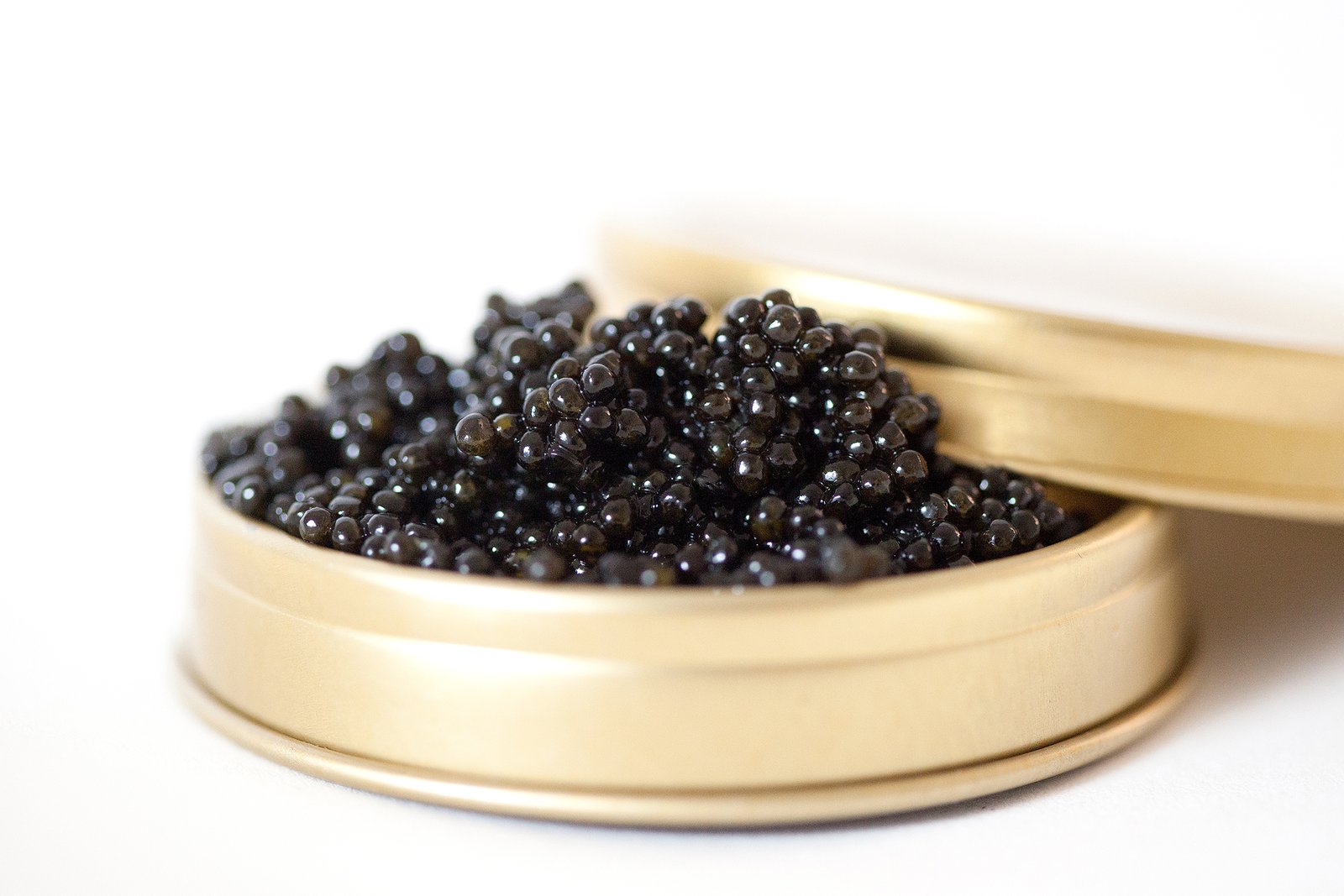 For starters, Kaluga caviar is more affordable than other types of fish roe.