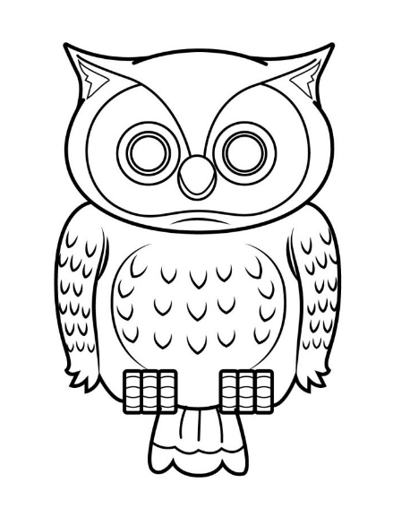 Draw An Owl