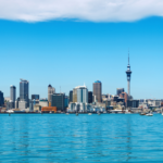 NEW ZEALAND  ONLINE  VISA ELIGIBILITY