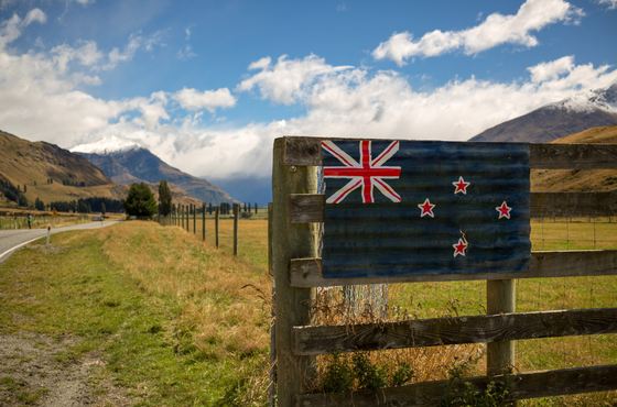 NEW ZEALAND ONLINE VISA ETA APPLICATION FORM