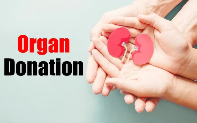 4 Different Types of Organ Donation