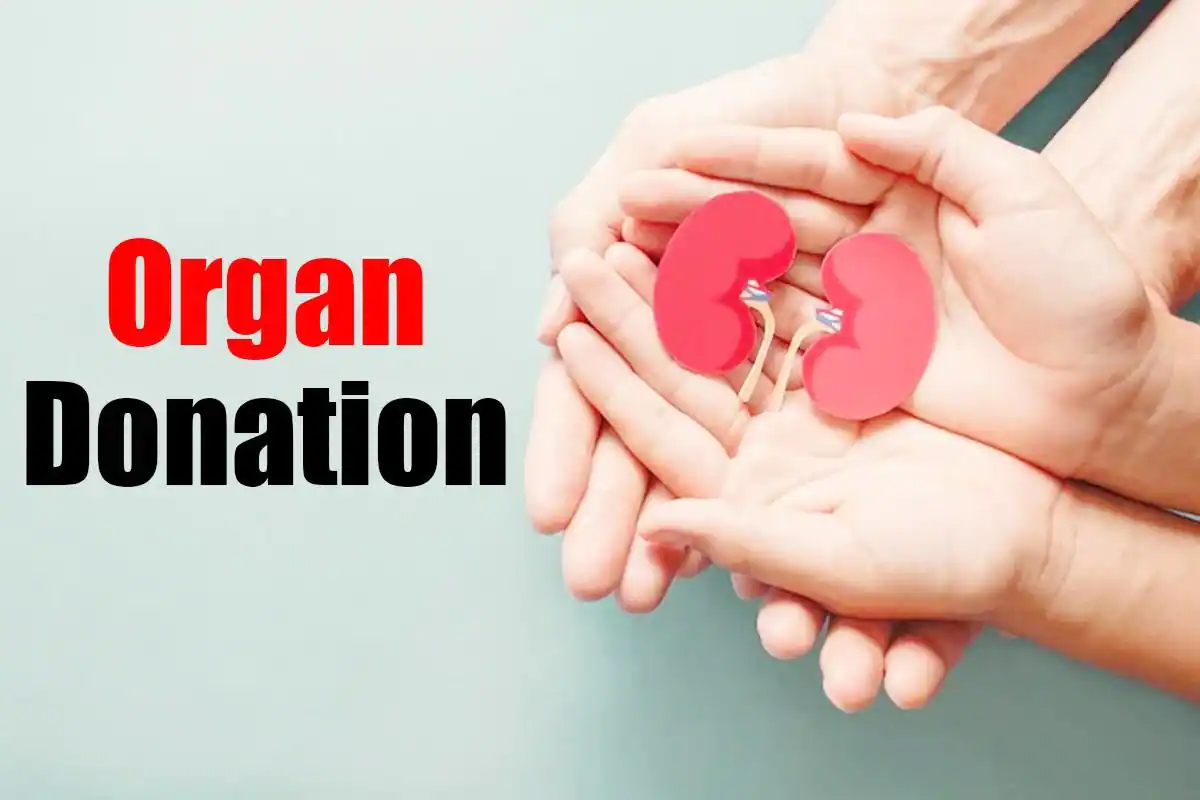Organ Donation