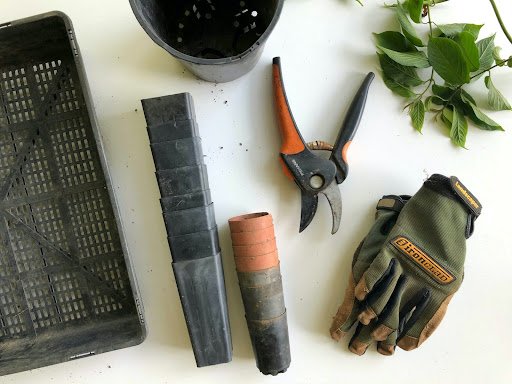 Guide to Gardening Tools: What Tools Do You Need?