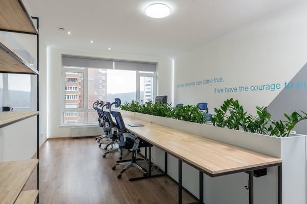 The Future of Work: Trends in Coworking and Managed Office Spaces