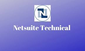 NetSuite Power User: Technical Skills Development